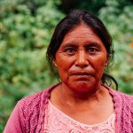 Iglesia alaba a Dios tras ataque en Nigeria: «Un día, Jesús enjugará nuestras lágrimas».